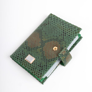 YG-080 Обложка на автодокументы с паспортом Nina Farmina 9320-186 