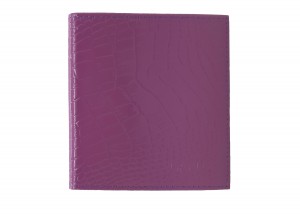 YV Визитница двухрядная H-029