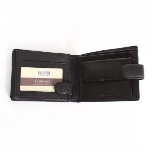 YK Мужское портмоне Catiroya L532-209 