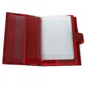 YG-080 Обложка на автодокументы с паспортом Nina Farmina 9320-116