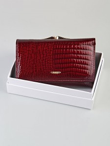 YS Кошелек женский  Barez 102-309