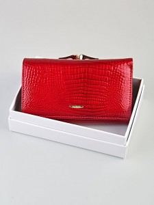 YS Кошелек женский  Barez 102-309